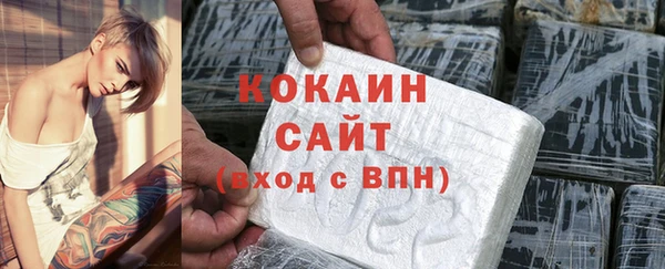 твердый Мегион
